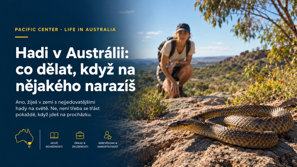 Had v australské přírodě během túry – co dělat při setkání s hadem v Austrálii